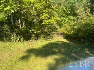 Photo of Peters Hollow Rd Monroe VA 24574